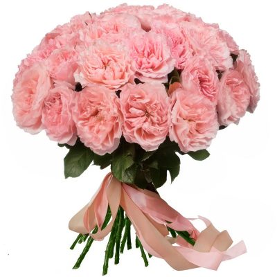 Розы Пионовидные одноголовые светло-розовые